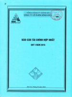 Báo cáo tài chính hợp nhất quý 1 năm 2015 - Công ty Cổ phần Sông Đà 2