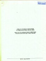 Báo cáo tài chính năm 2010 (đã kiểm toán) - Công ty cổ phần Tu bổ di tích Trung ương - Vinaremon