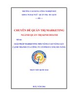 GIẢI PHÁP MARKETING MIX NÂNG CAO NĂNG lực CẠNH TRANH CỦA CÔNG TY cổ PHẦN CẢNG đà NẴNG