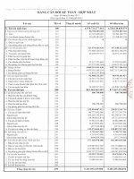 Báo cáo tài chính hợp nhất quý 2 năm 2012 - Công ty Cổ phần Đầu tư Phát triển Đô thị và Khu Công nghiệp Sông Đà