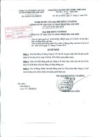 Nghị quyết đại hội cổ đông ngày 25-12-2010 - Công ty Cổ phần Vận tải và Giao nhận bia Sài Gòn