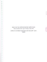 Báo cáo tài chính năm 2010 (đã kiểm toán) - Công ty Cổ phần Khoáng sản Sài Gòn - Quy Nhơn