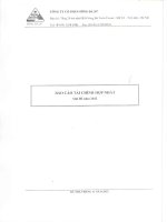Báo cáo tài chính hợp nhất quý 3 năm 2012 - Công ty Cổ phần Sông Đà 207