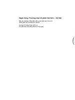 Báo cáo tài chính công ty mẹ quý 2 năm 2013 (đã soát xét) - Ngân hàng Thương mại cổ phần Sài Gòn - Hà Nội