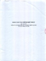 Báo cáo tài chính hợp nhất quý 1 năm 2015 - Công ty Cổ phần Đầu tư và Phát triển Sacom