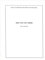 Báo cáo tài chính quý 3 năm 2015 - Công ty Cổ phần Bóng đèn Phích nước Rạng Đông