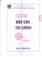 Báo cáo tài chính quý 1 năm 2010 - Công ty Cổ phần Xây dựng công nghiệp và dân dụng Dầu khí