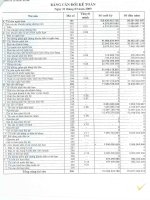 Báo cáo tài chính quý 1 năm 2009 - Công ty Cổ phần Sông Đà 9.06