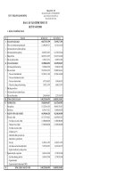 Báo cáo tài chính quý 2 năm 2010 - Công ty Cổ phần Bóng đèn Phích nước Rạng Đông