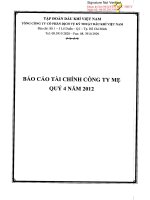 Báo cáo tài chính công ty mẹ quý 4 năm 2012 - Tổng Công ty Cổ phần Dịch vụ Kỹ thuật Dầu khí Việt Nam