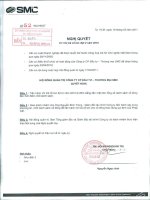 Nghị quyết Hội đồng Quản trị ngày 18-2-2011 - Công ty Cổ phần Ðầu tư Thương mại SMC