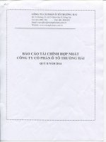 Báo cáo tài chính hợp nhất quý 2 năm 2014 - Công ty cổ phần Ô tô Trường Hải