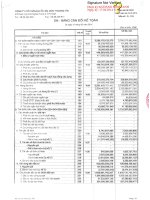 Báo cáo tài chính công ty mẹ quý 1 năm 2014 - Công ty Cổ phần Địa ốc Sài Gòn Thương Tín