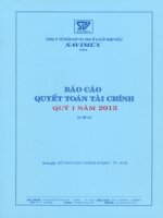 Báo cáo tài chính quý 1 năm 2013 - Công ty Cổ phần Hợp tác kinh tế và Xuất nhập khẩu SAVIMEX