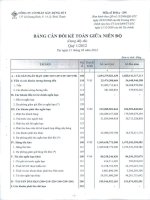 Báo cáo tài chính quý 1 năm 2012 - Công ty Cổ phần Xây dựng số 5