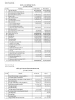 Báo cáo tài chính quý 3 năm 2009 - Công ty Cổ phần Sông Đà 9.06