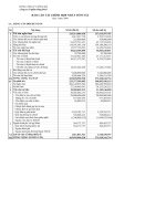 Báo cáo tài chính quý 3 năm 2009 - Công ty Cổ phần Sông Đà 8