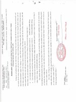 Báo cáo tài chính công ty mẹ quý 1 năm 2015 - Công ty Cổ phần Địa ốc Sài Gòn Thương Tín