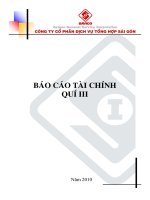 Báo cáo tài chính công ty mẹ quý 3 năm 2010 - Công ty Cổ phần Dịch vụ tổng hợp Sài Gòn