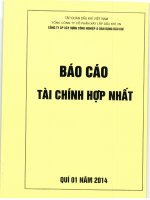Báo cáo tài chính hợp nhất quý 1 năm 2014 - Công ty Cổ phần Xây dựng công nghiệp và dân dụng Dầu khí