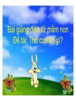Bài giảng điện tử đề tài Thỏ con ăn gì?