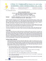 Báo cáo tài chính năm 2009 (đã kiểm toán) - Công ty Cổ phần Bia Sài Gòn - Miền Trung