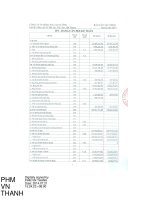Báo cáo tài chính quý 2 năm 2014 - Công ty Cổ phần Sông Đà Cao Cường