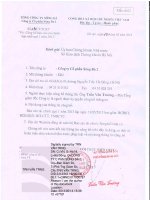 Báo cáo tài chính hợp nhất quý 1 năm 2013 - Công ty Cổ phần Sông Đà 2