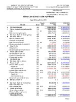 Báo cáo tài chính hợp nhất quý 2 năm 2010 - Công ty Cổ phần Sách và Thiết bị trường học Tp. Hồ Chí Minh