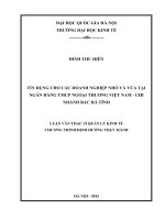 TÍN DỤNG CHO CÁC DOANH NGHIỆP NHỎ VÀ VỪA TẠI NGÂN HÀNG TMCP NGOẠI THƢƠNG VIỆT NAM - CHI NHÁNH BẮC HÀ TĨNH
