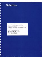 Báo cáo tài chính năm 2010 (đã kiểm toán) - Công ty Cổ phần Kết cấu Kim loại và Lắp máy Dầu khí