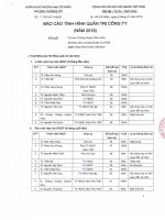 Báo cáo tình hình quản trị công ty - Ngân hàng Thương mại Cổ phần Sài Gòn Thương Tín