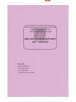Báo cáo tài chính hợp nhất quý 1 năm 2016 - Công ty Cổ phần Sách và Thiết bị trường học Tp. Hồ Chí Minh