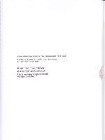 Báo cáo tài chính năm 2009 (đã kiểm toán) - Công ty Cổ phần Kết cấu Kim loại và Lắp máy Dầu khí