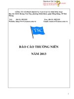 Báo cáo thường niên năm 2013 - Công ty cổ phần Dịch vụ Vận tải và Thương mại