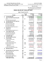 Báo cáo tài chính hợp nhất quý 1 năm 2010 - Công ty Cổ phần Sách và Thiết bị trường học Tp. Hồ Chí Minh