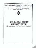 Báo cáo tài chính hợp nhất quý 2 năm 2016 - Công ty cổ phần Sản xuất Kinh doanh Xuất nhập khẩu Dịch vụ và Đầu tư Tân Bình