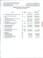 Báo cáo tài chính hợp nhất quý 4 năm 2012 - Công ty cổ phần Chứng khoán Sài Gòn