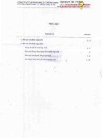 Báo cáo tài chính hợp nhất quý 3 năm 2012 - Công ty Cổ phần Tập đoàn Đầu tư Thăng Long