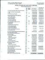 Báo cáo tài chính công ty mẹ quý 3 năm 2011 - Công ty Cổ phần Nhiên liệu Sài Gòn