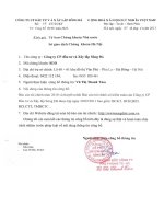 Báo cáo tài chính năm 2010 (đã kiểm toán) - Công ty Cổ phần Đầu tư và Xây lắp Sông Đà