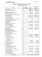 Báo cáo tài chính hợp nhất quý 2 năm 2009 - Công ty cổ phần Sông Đà - Thăng Long