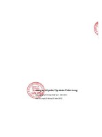 Báo cáo tài chính hợp nhất quý 1 năm 2012 - Công ty Cổ phần Tập đoàn Thiên Long