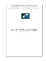 Báo cáo thường niên năm 2008 - Công ty Cổ phần Xi măng và Xây dựng Quảng Ninh