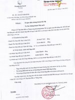 Báo cáo tài chính hợp nhất quý 4 năm 2014 - Công ty Cổ phần Tập đoàn Đầu tư Thăng Long