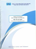 Báo cáo tài chính quý 2 năm 2011 (đã soát xét) - Công ty Cổ phần Đầu tư Điện Tây Nguyên