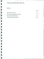 Báo cáo tài chính công ty mẹ quý 2 năm 2011 - Công ty Cổ phần Tập đoàn Thiên Long