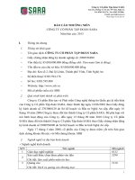 Báo cáo thường niên năm 2013 - Công ty Cổ phần Tập đoàn Sara