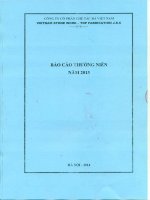 Báo cáo thường niên năm 2013 - Công ty cổ phần Chế tác Đá Việt Nam