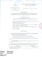 Nghị quyết Hội đồng Quản trị - Công ty Cổ phần Tập đoàn Đầu tư Thăng Long